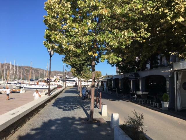 T3 La Salamandre Saint-Florent  Exterior photo